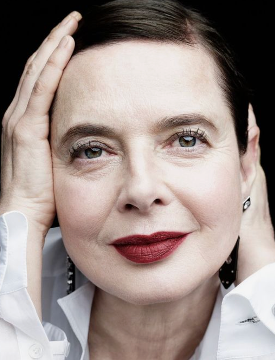 The Best Ingredients for Anti-Aging and Wrinkle Reduction: A Skincare Guide
