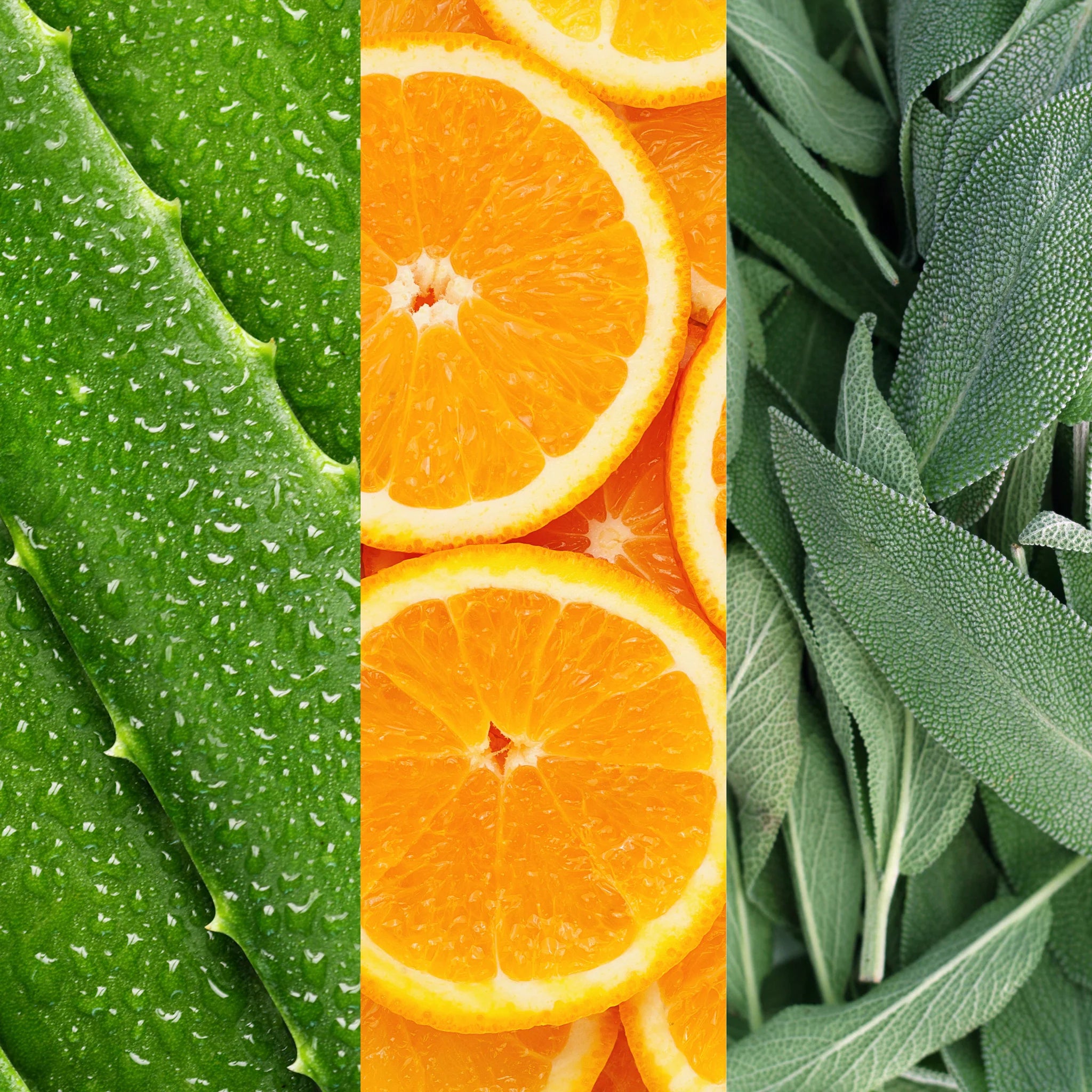 Facial arcpermet aloe verával, zsályával és narancsvirággal