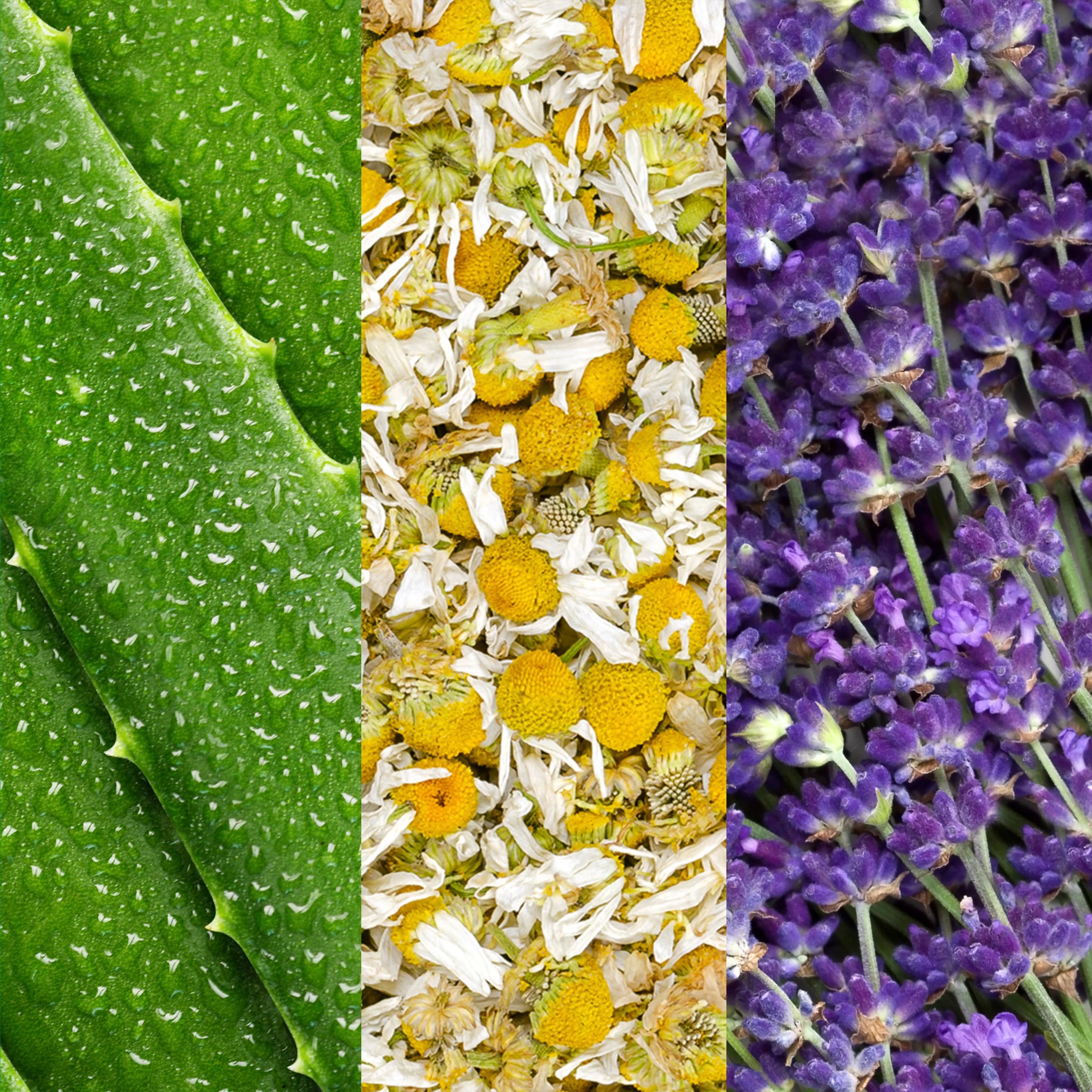 Facial arcpermet aloe verával, kamillával és levendulavirág-kivonattal